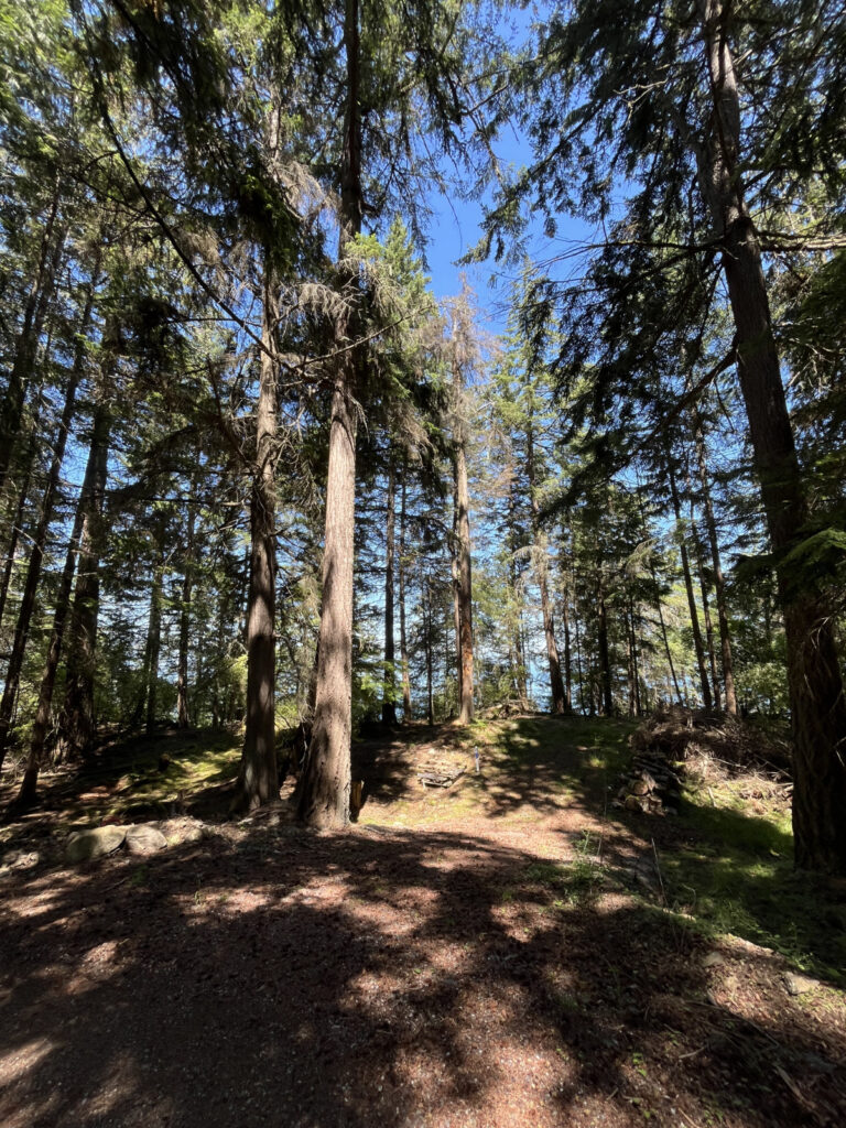 Orcas Land for Sale 3