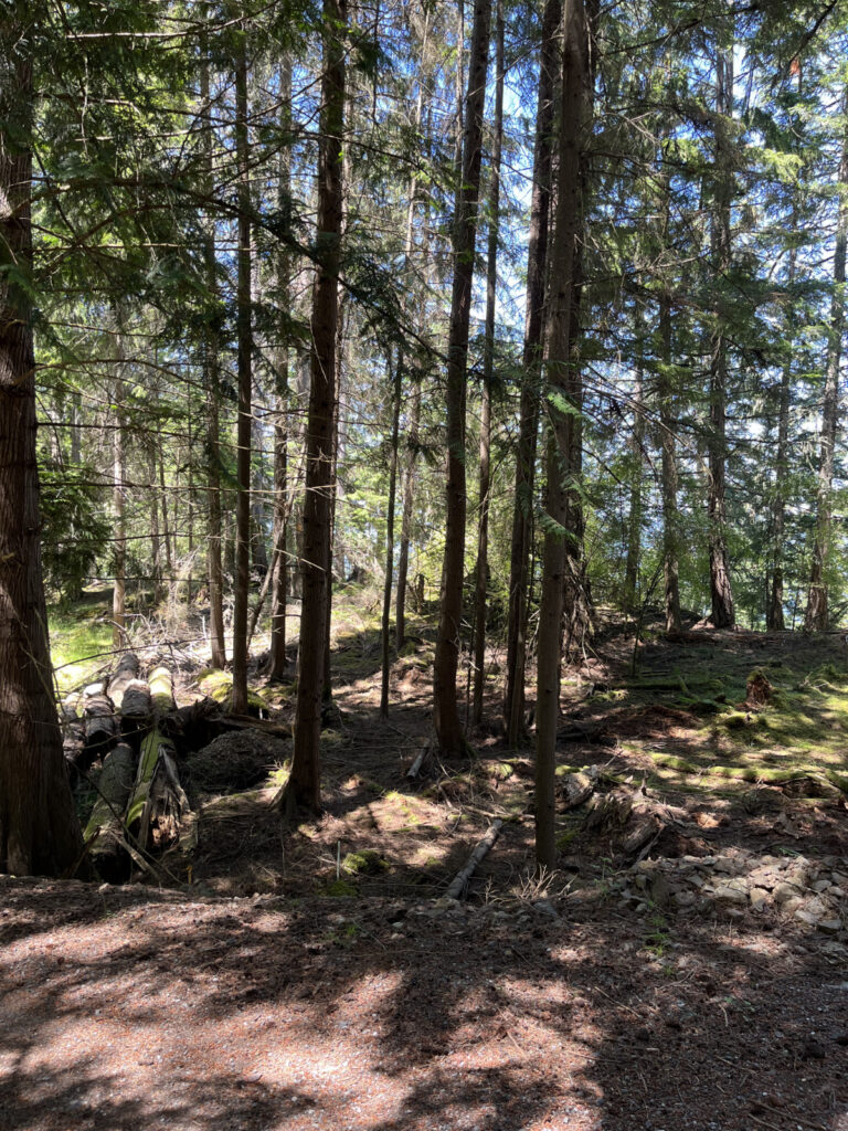 Orcas Land for Sale 7