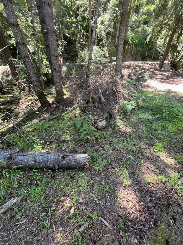 Orcas Land for Sale 9