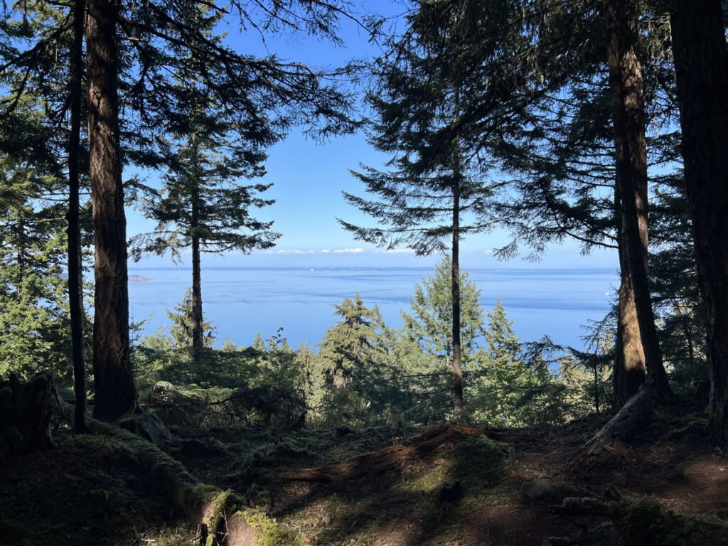 Orcas Island Land For Sale 1x