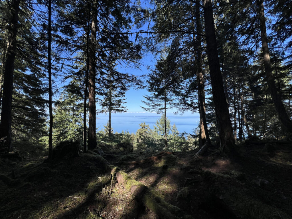 Orcas Island Land For Sale 3x