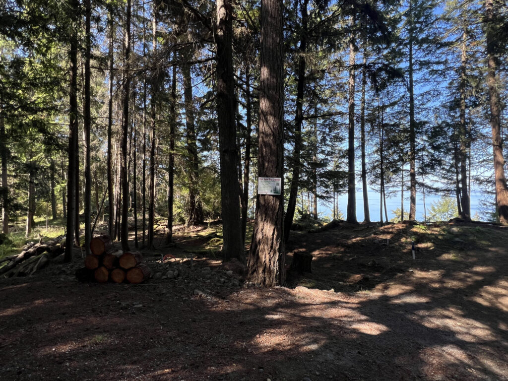 Orcas Island Land For Sale 5x