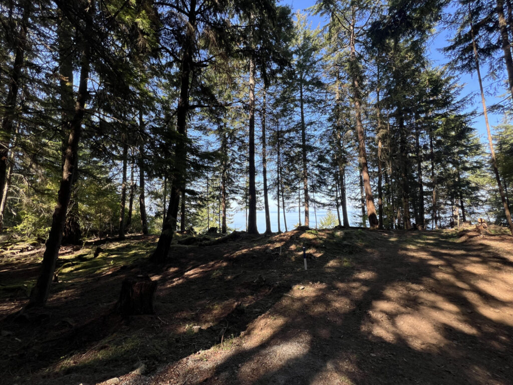 Orcas Island Land For Sale 8x